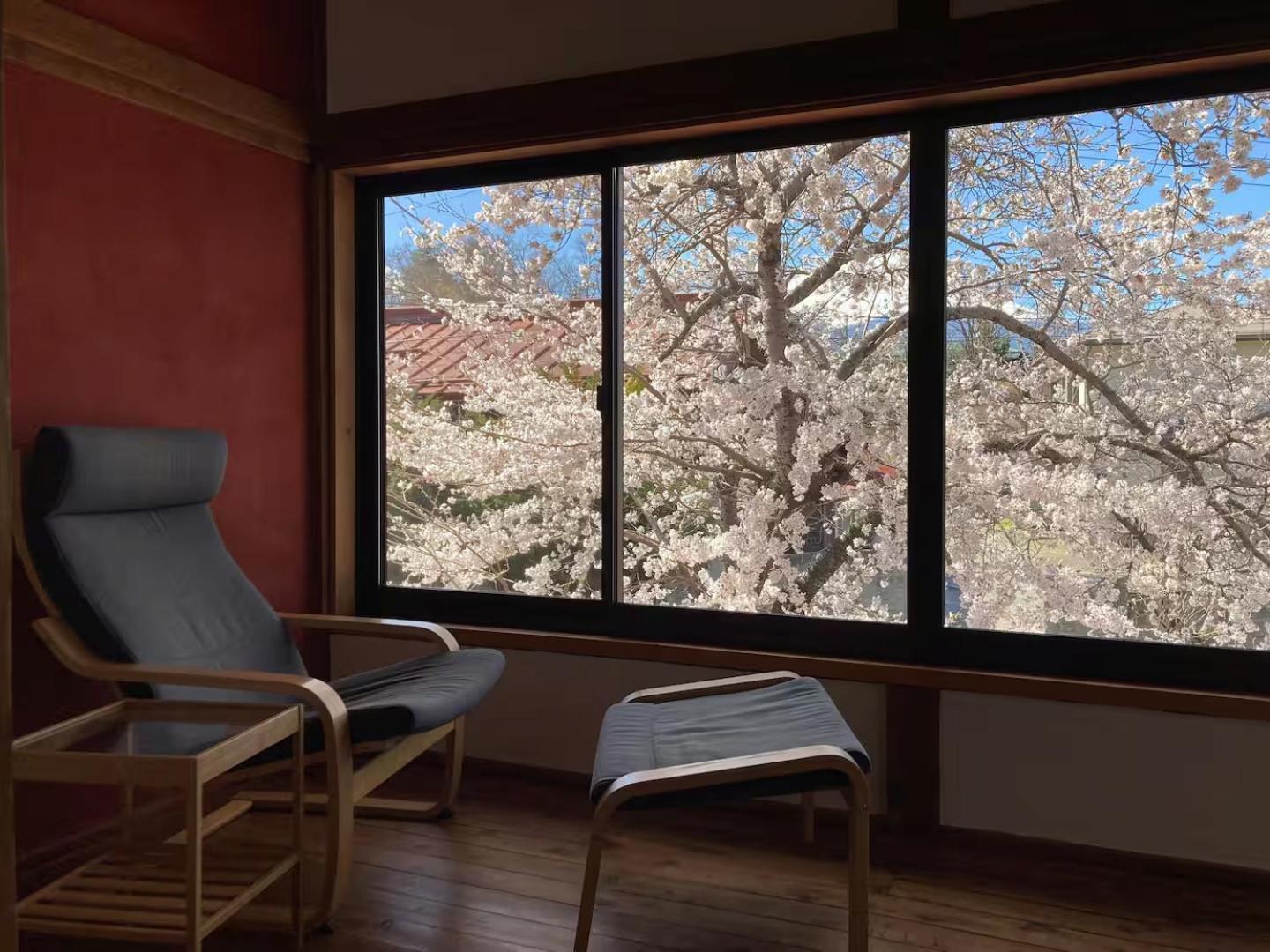 Fuji Sakura House Villa Fujikawaguchiko Eksteriør bilde